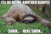 burpeesloth.jpg